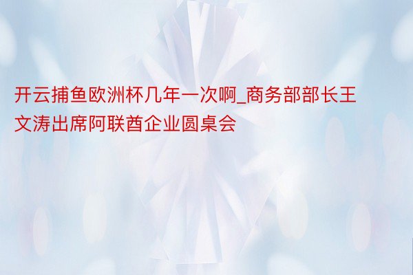 开云捕鱼欧洲杯几年一次啊_商务部部长王文涛出席阿联酋企业圆桌会