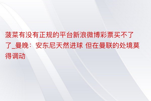 菠菜有没有正规的平台新浪微博彩票买不了了_曼晚：安东尼天然进球 但在曼联的处境莫得调动
